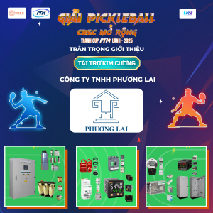 nha-tai-tro-kim-cuong-cong-ty-tnhh-phuong-lai