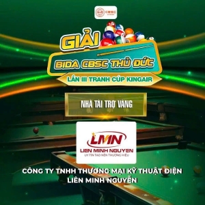 nha-tai-tro-vang-cong-ty-tnhh-thuong-mai-ky-thuat-dien-lien-minh-nguyen